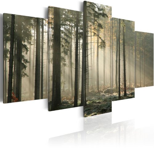 B&D XXL - Wandbilder XXL Wald 225x112cm 5 tlg - Wand Deko Leinwand Bilder Groß Wanddeko Wohnzimmer Schlafzimmer Kunstdrucke - Nebel Bäume Waldlandschaft Panorama 030212-42