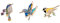 3 Stück Vogel Brosche Kolibri Brosche Bird Brooches Bird3