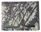 Quiksilver Freshness - Tri-Fold Wallet for Men - Dreifach faltbares Portemonnaie - Männer - Grün.
