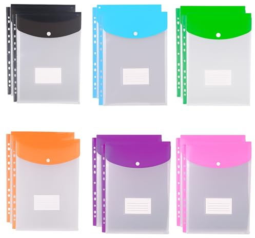 MORAINJAY 12 Stück Dokumententasche A4, 11-Fach gelocht Transparent Dokumententaschen, mit Druckknopf und Beschriftungsfeld, Kunststoffmappen für Büro Schule Zuhause Reise (senkrecht öffnend)