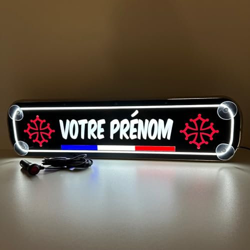 Placa neon personalizado para camión STICK OLIVIER® - Matriculas personalizadas para camión con iluminación blanca fría con nombre/apodo y logotipos [ Accesorios camion ]