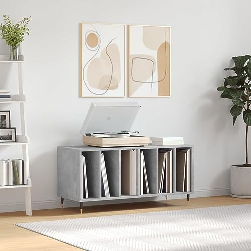 prissent Schallplattenschrank, Grau, Beton, 100 x 38 x 48 cm, mehrschichtig, Möbel, Wohnzimmer, TV-Schrank, Schallplatten, Vinyl, CD-Regal, Regal, CD-Regal, Bücherregal, schmal, niedriges Regal
