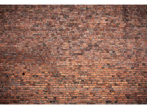 Aoihrraan 3x2m Vintage Rot Backstein Wand Hintergrund Retro alt Stein Backstein rustikal Textur Wand Fotografie Hintergrund Neugeborene Baby Dusche Party Kinder Erwachsene Porträt Foto Requisiten