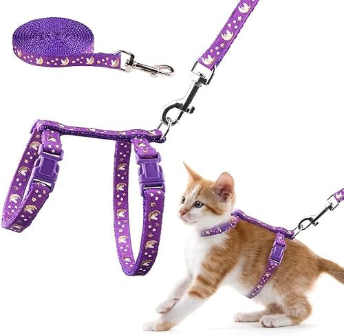 Katzengeschirr und Leine, verstellbar, ausbruchsicher, Brustgurt mit Sicherheitsschnalle für Spaziergänge im Freien, passend für kleine, mittelgroße und große Kätzchen Reflektierend (lila)