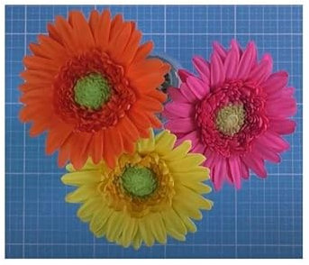 Stk - 25x Gerbera großblumig gemischt Gerbera jamesonii Saatgut Pflanzen - Samen K364 - Seeds & Plants Shop by Ipsa