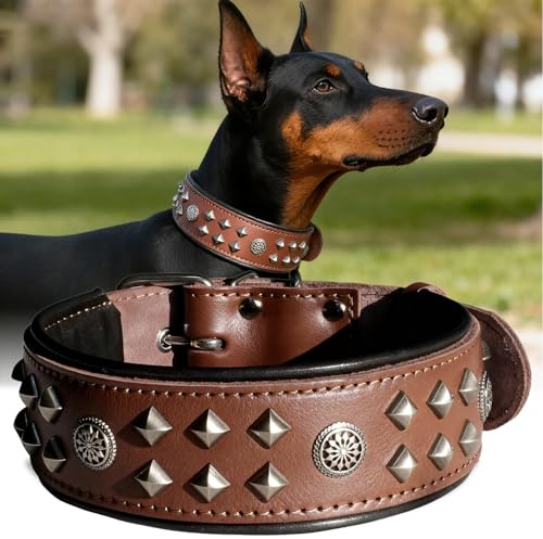 EliteGuard Hundehalsband Leder, 5,6 cm Breit, Braun, M | Robustes Echtes Lederhalsband, Mit Nieten Und Edelstahlschnalle, Für Den Täglichen Gebrauch Bei Großen Hunden, 50-60 cm