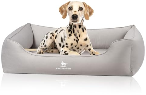 Knuffelwuff orthopädisches Hundebett Oliver, XXL - Grau | Easy Clean Wildlederoptik | Memory Foam | wasserabweisend waschbar | gelenkschonend robust für kleine bis große Hunde