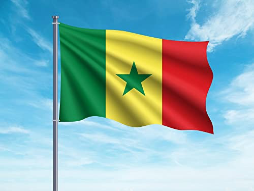 Oedim Bandera de Senegal 85x1,50cm | Reforzada y con Pespuntes | Bandera con 2 Ojales Metálicos y Resistente al Agua