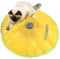 PETCUTE Jouet pour Chats Automatique Jeux Jouet Interactif pour Chaton Rotatif Attraper Souris en Mouvement