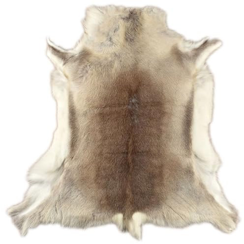 Rentier Fell HELLGRAU BEIGE ca. 120 x 100 cm RENTIERFELL AUS NORWEGEN DEKO Fell VON KUHFELLE ONLINE