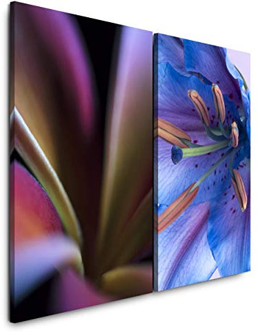 Paul Sinus Art Leinwandbilder 2 Stück je 40x60cm Makro Lilie Blüte Kelch