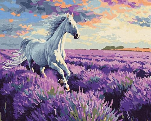IDEYKA Malen nach Zahlen - In den Lavendelfeldern ©art.solomiia Malen nach Zahlen für Erwachsene, einfaches Acryl-Malen nach Zahlen für Erwachsene, mit rahmen,DIY als Geschenk, 40x50cm