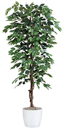 kunstpflanzen-discount.com Kunstbaum Ficus Benjamini grün 840 Blätter, Höhe 150cm - Künstliche Birkenfeige Benjamina mit Naturstämme