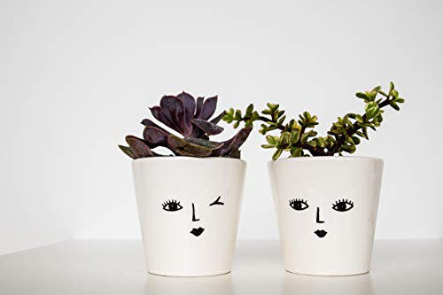 Ivyline Pot de Fleurs en Forme de Visage - 7 cm de diamètre