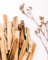 Incensera Palo Santo Rucherholz - 13 Duftholz Sticks 10 cm fr Ausruchern Wohnung, Natrliches Heiliges Holz aus nachhaltiger Ernte, Aromatherapie