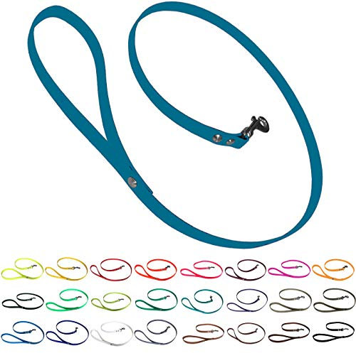 bio-leine Führleine Hundeleine mit Handschlaufe aus Biothane, 19mm breit, schmutz- und wasserabweisend, Leine für Hunde, 1,20 m Lagune