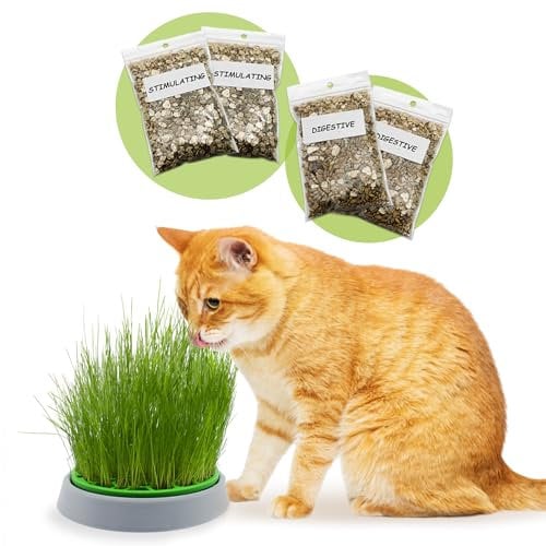 R&R SHOP - Kit Cataire Double Graines - Pot de Germination, 2 Types d'herbe à Chat, stimulante et Digestive, 4 sachets de graines et substrat, Convient à Tous Les Chats