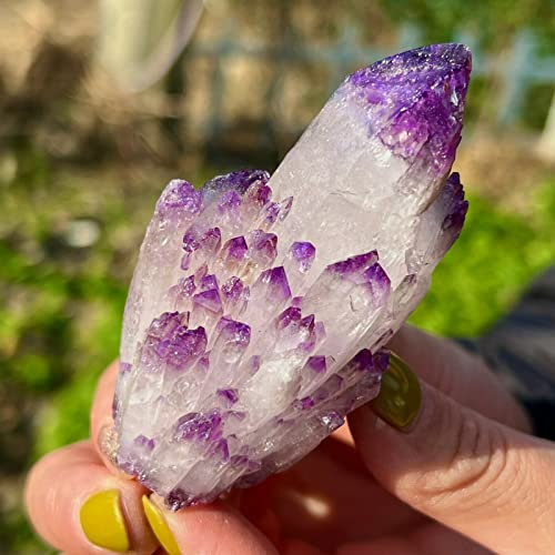 Amethyst heilt Kristall. 100g schöner Quarz-Cluster-Kaktus-Amethyst-Stapel natürlicher Druze GE