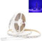 YUTOKEER UV/Ultraviolett LED Lichtleiste Lila SMD 5050 16.4FT / 5M 300 LEDs 12V LED Licht für Indoor Party, Körperbemalung, Hochzeit