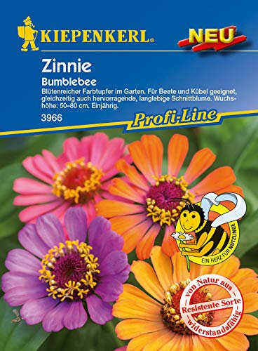 Kiepenkerl 3966 Zinnie Bumblebee (Zinniensamen)