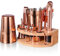 Cocktail Shaker Set,Esmula 750ML 12 Teiliges Edelstahl Barkeeper Kit Geschenk für Männer, Frauen, Freunde, Home Stylish Bar Tool Set mit Cocktail Rezeptheft (Roségold-Titanbeschichtet)