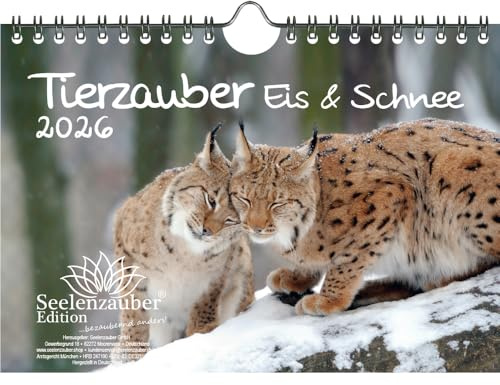 Tierzauber Eis und Schnee DIN A5 Kalender für 2026 Tiere aus dem Polargebiet - Geschenkset Inhalt: 1x Kalender, 1x Weihnachtsanhänger (insgesamt 2 Teile)