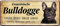 WOGEKA ART Retro Blechschild - Französische Bulldogge Hund Steckbrief - witziger Spruch als Geschenk-Idee zum Geburtstag Weihnachten Dekoration 28x12 cm Vintage-Design Metall 1374