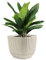 Konzept 11 - Pot de Fleurs d'Intérieur et d'Extérieur 1.8l, Jardinière carrée en Plastique avec Soucoupe (Réservoir d'eau) Ivoire 15x15x13 cm - Différentes Couleurs et Tailles du Bac