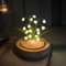 EONANT Maiglöckchen Blume Nachtlicht, DIY handgemachte Nachahmung Blume Laterne, Maiglöckchen Blume dekoratives Geschenk Glas Geburtstag Jahrestag Tabelle Atmosphäre Licht Weihnachten Muttertag