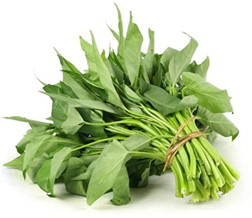 Dichmag 1000+ Kong Xin CAI Seeds for Yard & Garden - Non-GMO Rau Muong Green Leaf Vegetable Seeds for Planting - 95% Germination Rate Choy Ong Seeds Produced in The US, 1000 seeds