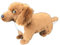 lilizzhoumax Hund Dackel Dachshund Plüschtier 33cm/13”, Simuliertes Tier Hund Plüschtier Kawaii Hund Kuscheltier Realistische Hund Plüsch Spielzeug für Wilde Tiere, Geschenk für Freunde und Kinder