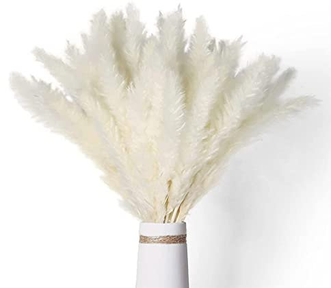 Giuneuow 40 PièCes SéRies Herbe de Pampa Blanche SéChéE 45 CM Moelleux et Oscillant Bricolage Boho Plante pour Mariage Arrangements de Fleurs DéCor