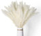 Giuneuow 40 PièCes SéRies Herbe de Pampa Blanche SéChéE 45 CM Moelleux et Oscillant Bricolage Boho Plante pour Mariage Arrangements de Fleurs DéCor