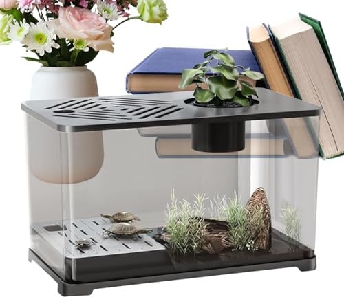 Aquarium Becken Großes Desktop Aquarium