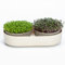 Urbalive 2 en 1 - Juego de 2 Cuencos de Cultivo para brotes, Semillas de Cresta, microverdes, diseño de colador de plástico