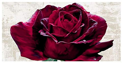 Artworks Italia Viola Dame-Paper Art-62x32
