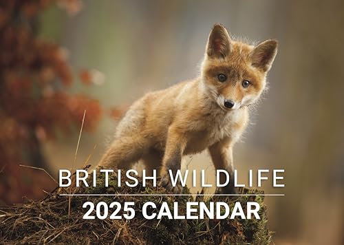 Evelay Wandkalender 2025, britische Tierwelt, Monatsplaner, A3, Familien-, Heimbüro-