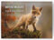 Evelay Wandkalender 2025, britische Tierwelt, Monatsplaner, A3, Familien-, Heimbüro-