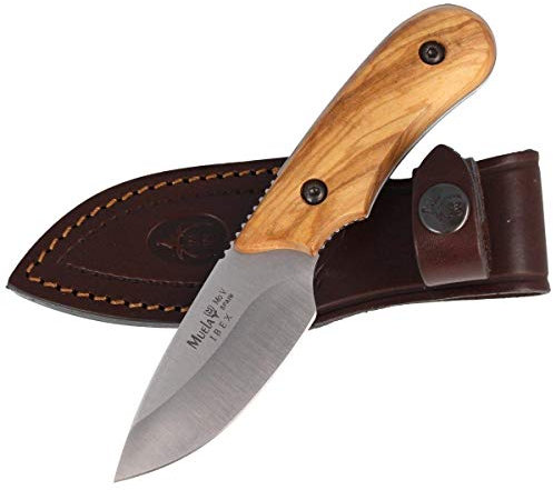 Muela Cuchillo Ibex IBEX-8.OL hoja de acero MoVa de 8 cm y empuñadura de olivo para Caza, Pesca, Supervivencia y Bushcraft Realizado en Ciudad Real + Portabotellas de regalo