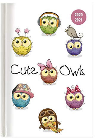 Collegetimer Cute Owls 2020/2021 - Schüler-Kalender A5 (15x21 cm) - Eule - Day By Day - 352 Seiten - Terminplaner - Notizbuch - Alpha Edition: ... By Day - Notizbuch (Collegetimer A5 Daily)