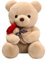 Teddybär Plüsch, 35cm Teddybär mit Rose, Stofftier Spielzeug Dekozimmer Kissen für Weihnachten, Valentinstag, Geburtstag Heimdekoration (35cm, Braun)
