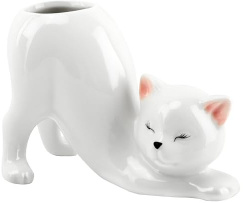 WKHOKI Maceta de cerámica para gatos con agujero de drenaje, maceta con cara de bigote para plantas de interior, bonito jarrón de gato de dibujos animados para suculentas, macetas de jardín al aire