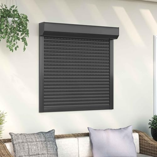 Ziaphsol Tapparella antracite, 100 x 100 cm, in alluminio e poliuretano, manuale, con scatola avvolgibile e binario di guida, per finestre esterne e interni, protezione solare