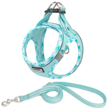 DORAMIO Hundegeschirr Kleine Hunde mit Leine, Step-in Geschirr Reflektierend Atmungsaktiv Brustgeschirr Anti Zug Sicherheitsgeschirr Katzengeschirr für Kleine Hunde, Katzen (Hellblau, XS)