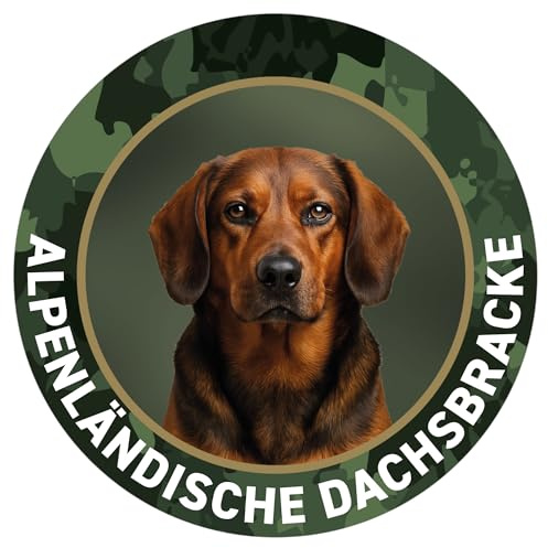 Alpenländische Dachsbracke Aufkleber - Jagdhund Premium Autoaufkleber - Sticker für Auto, Pkw, Kfz, Kofferraum oder Autoscheibe - mit Hunde und Jagdhundemotiven, Ø 10 cm - Made in Germany