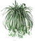 Washranp 1Pc Chlorophytum Comosum Faux Greenery Home Hotel Decor Artificial Spider Plant,Outdoor Plants for Farmhouse Home Garden Wedding Indoor Outside Decor