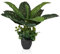 hjh OFFICE Plante Artificielle 80cm DIEFFENBACHIA Plante d'intérieur Tropicale Artificielle, Plante décorative en Pot Noir