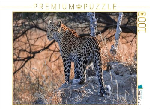 CALVENDO Puzzle Junge Leopardin am frühen Morgen, Moremi Game Reserve | 1000 Teile Lege-Größe 64 x 48 cm Foto-Puzzle für glückliche Stunden