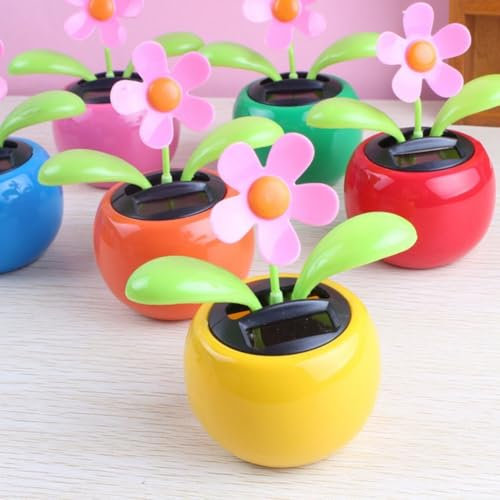 4 Solarblumen mit Wackelköpfen, perfekt für Schreibtisch und Armaturenbrett-Dekoration