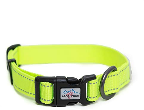 Long Paws Neon Hundehalsband, reflektierendes Halsband, hohe Sichtbarkeit, Hundehalsband (klein)